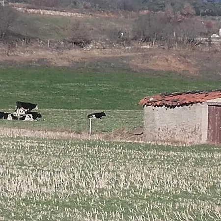 Cal Xico Casa rural Adrall