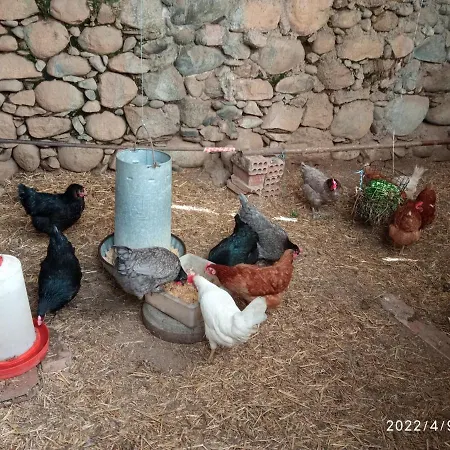 Casa rural Cal Xico Adrall